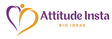 Attitude Instagram Bio Ideas