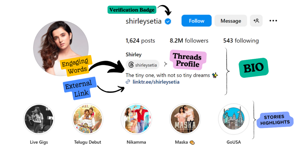 Shirely Setia Instagram Profile Explained